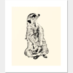 Meerkat Posters and Art